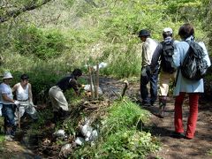 北鎌倉　台峰の自然を巡る2007年4月編