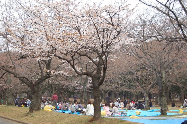 先週のリベンジとばかりに今週は代々木公園へ行ってきました。<br />一週間で桜も咲き始め、人もはるかに増え賑やかでした。<br />