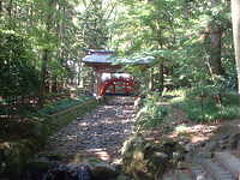 岩室温泉,弥彦,寺泊（新潟）/*1泊2日⑥