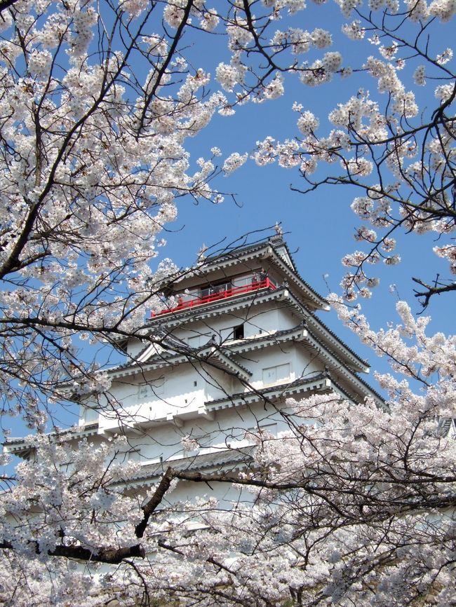 以前から一度いってみたかった会津「向瀧」と鶴ガ城の千本桜、<br />翌日に、恒例の三春の滝桜をみてきました。