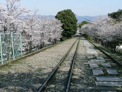 日本の旅　京都の桜【４】　蹴上周辺の桜