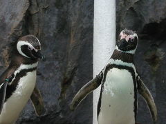 能登　和倉温泉・能登島水族館