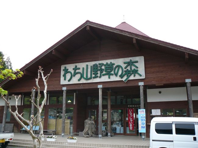 京丹波町は、京都府のほぼ中央部にあたる丹波高原の由良川水系上流部に位置し、古くから、都と丹後・山陰地方を結ぶ交通の要衝として栄えました。現在でも京都縦貫自動車道やＪＲ山陰本線をはじめ、国道9号、27号、173号などが交わり、交通環境に恵まれた地域です。<br />ドライブ散策順路<br />　→京都縦貫自動車道丹波ＩＣ→琴滝、玉雲寺→九手神社→質志鍾乳洞公園→質美八幡宮→大福光寺→昼食・休憩→わち山野草の森→長源寺（がん封じ寺）→祥雲寺・天足堂（ぼけ封じ寺）→七色の木→京都縦貫自動車道沓掛ＩＣ<br /><br />わち山野草の森<br />　由良川沿いに広がる癒しの自然活用型公園。１２haの園内には、約９００種の山野草や花木などが息づき、四季折々に美しい花・風景を満喫することができ、心身ともにリフレッシュ。<br />　素朴な草花や樹木を見ながら楽しく散策した後は、周りの景色も楽しみながら野外バーベキューに舌鼓。<br />　年間１０回を超える山野草展をはじめ、押し花クラフト、木工クラフト、苔玉・寄せ植えなどの体験メニューも豊富。シイタケ狩り・クリ拾い・ハーブの摘み取りなどもご用意。<br />　「わち山野草の森」で、四季に咲く草花の自然の姿をたっぷりご堪　能ください。