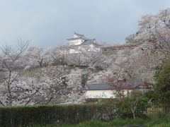 青春 18切符　お城巡り