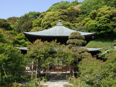 GWシリーズ：鎌倉・鶴岡八幡～鎌倉宮～瑞泉寺