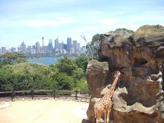 Taronga Zoo in Sydney