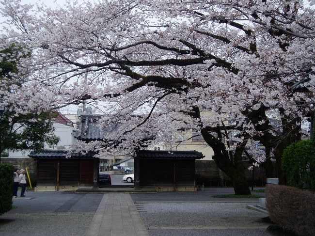去る4月1日・5日・7日頃、曇り空が続いたり、そのうえ夕方4時過ぎてしまったりしたのですが、鹿沼市内を中心に、その西部の都賀町(つがまち)、西方町(にしかたまち)、さらには宇都宮市まで、桜を求めていろいろ回ってみました。<br /><br />華やかさには少し欠けますが、それなりに美しい里山の桜をご覧ください。<br /><br />