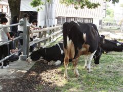 ジェラートが絶品！動物と花と自然と戯れる名古屋農業センター