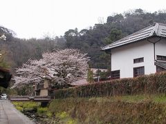 石見銀山（大森）に行きました