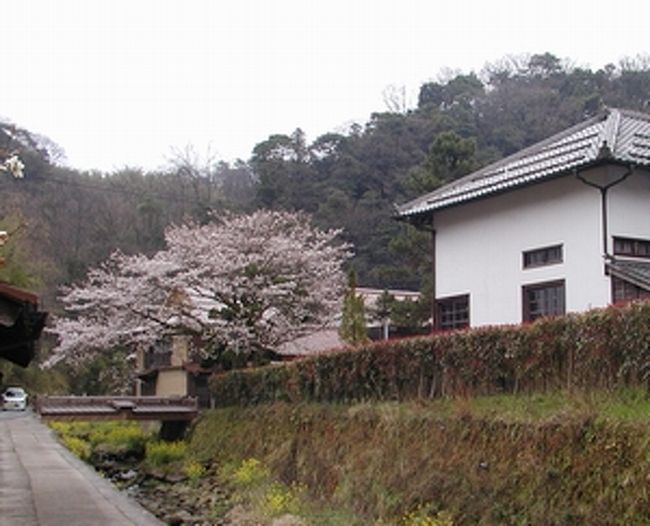 石見銀山の鉱山跡が面白い観光地になっています。ここに行ったのは２回目です。<br />炭鉱の跡や、資料館などみどころが多く、町並みも上手に復元されています。<br />世界遺産に立候補して頑張っているようです。<br />サッシの戸を木製に戻したりしているのも偉いと思いました。<br />ガイドブックに載っていた「群言堂」と隣接カフェにも寄りました。<br />メニューはやや高めで、蕎麦屋に寄った方がよかったかも。<br />写真を何点かアップします。「群言堂」の写真は「庭を撮影していいですか？」と聞いたら「写真はダメです。」と言われましたので、ありません。