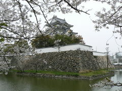 だんじりの街、岸和田城の桜