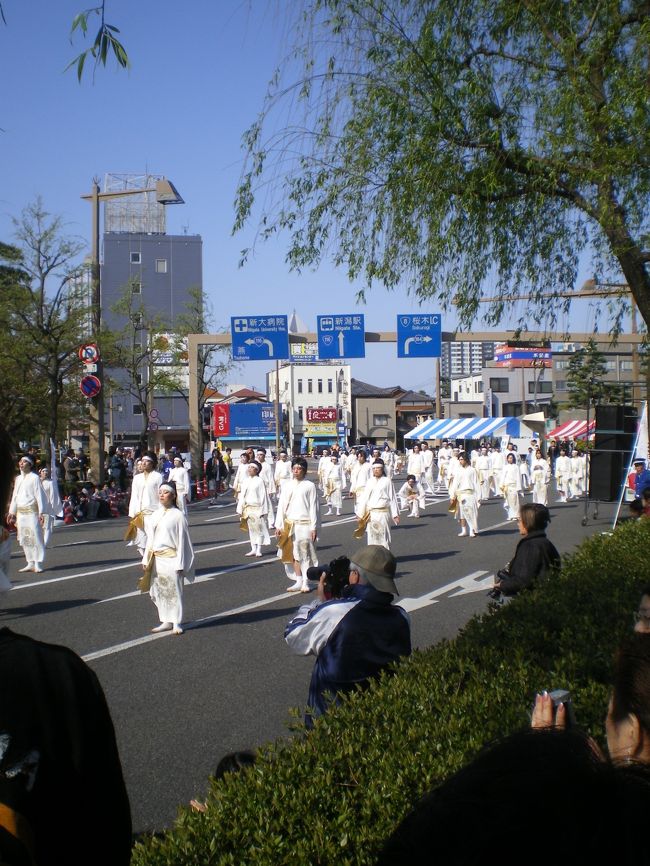 4/28〜29に新潟市政令指定都市を祝って行われたイベント。<br />少しだけ通りがかったのですが、熱い熱気が伝わってきました。