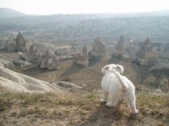 トルコの生活*愛犬とカッパドキア