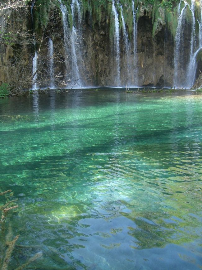 天国ってこんな所なんだろうなと思ってしまう位プリトヴィッツェは素晴らしかったです。<br /><br />きらめく宝石のような湖、水面がどこか判らない位の透明度の水、群れを成して元気に泳ぎ回る魚達、繊細で美しい数々の滝と気持ちいい水しぶきと流れ落ちる水の音、生命力に溢れる新緑の木々、森を歩いているとどことなく聞こえてくる鳥のさえずり・・・<br />全身で素晴らしさを感じてとても癒されて感動しっぱなしでした。<br />1泊2日でぐるっと一周したので相当歩きましたが、意外なほど疲れもなくて歩けば歩くほど癒される不思議な感じでした。<br /><br />ちょうど時期も良かったのか、新緑の季節で初々しい黄緑の木々と湖のコントラストが絶景でした。<br />この湖の面白いところは同じ場所でも日の当たり具合によって色が変わるので見ていて飽きません。<br />朝来たときは普通の青緑みたいな色だったけど、昼同じ場所に来たらエメラルドグリーンのような色になっていたりと驚かされます。<br /><br />写真が多すぎてすいません。<br />これでも厳選してますが、あまりにも良すぎて選べません。<br /><br />宿は、飛び込みでホテルベルビューにシングル一泊朝食付で204クーナで泊まれたので、ネットで取るより安くてラッキーでした。<br />