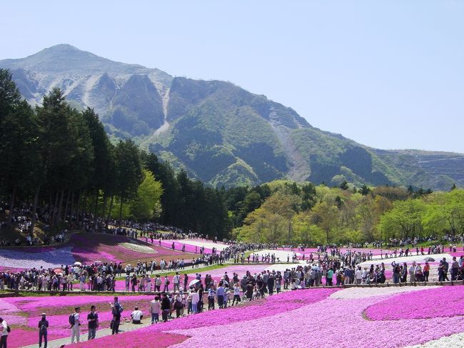 ＧＷ、秩父の羊山公園で芝桜の鑑賞、昼食は奥秩父まで足を延ばし、鈴加園でゆっくりと野趣溢れる石器焼の料理を堪能しました。