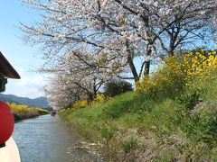 水郷めぐり・花見・近江牛・お土産　なんでもありの近江八幡！