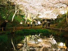 信州桜三昧の旅　１日目