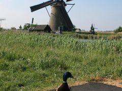 キンデルダイクの風車群を見るために