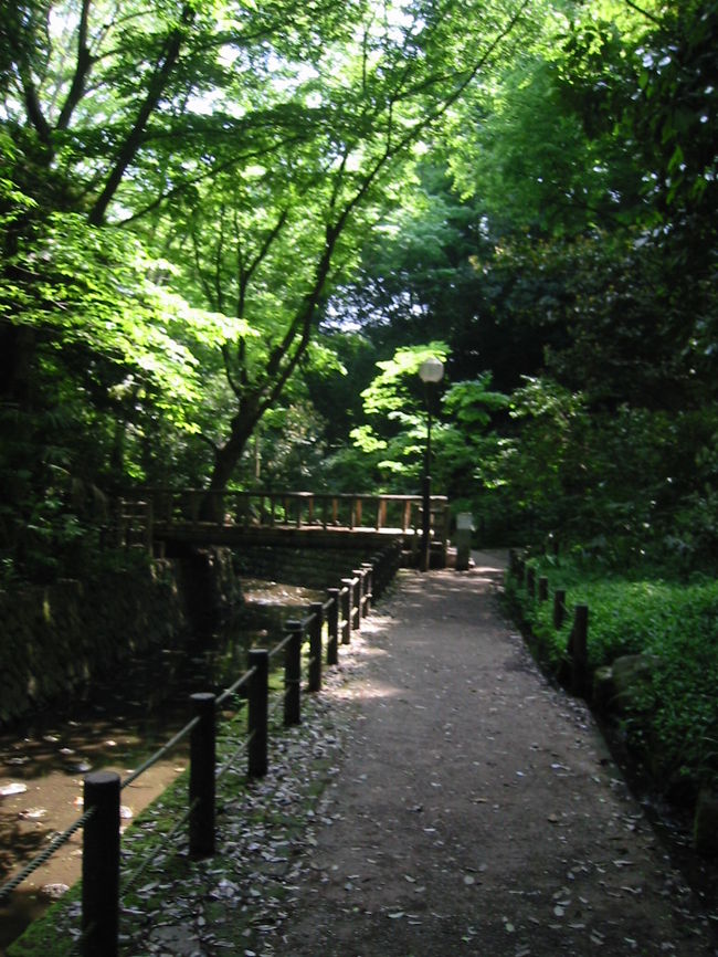 今日もめっちゃ天気がいいので、散歩にでました。<br />柿の木坂～玉川神社までの目黒通りの区間は、高級外車のディーラーと、ファニチャーストリートといわれるだけあって、オシャレな家具屋さんがやはり多いです。<br />人工的な家具屋さんと、等々力渓谷・多摩川の自然を感じてきました。