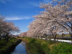 伊佐沼公園 その２