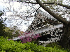 称名寺の桜景色