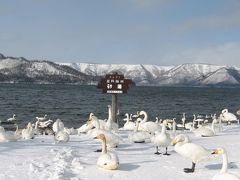 冬の北海道、その5。