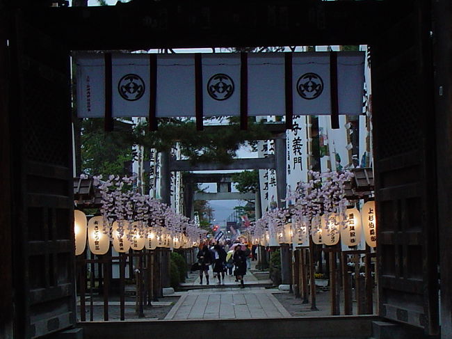 川中島の合戦を再現すると言うお祭りに行きました。<br /><br />火縄銃は迫力があって、想像以上の音に驚きです!<br />最初はあまり興味のなかった私ですが、最後には勝鬨一緒に<br />上げたりで・・・<br /><br />甲冑に身を包んだ武将が立ち回る姿に、拍手喝さいでした。
