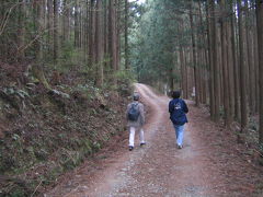 紀伊長島・熊野古道　親孝行の旅