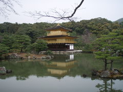 京極桜の旅