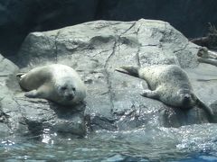 三重県　伊勢・鳥羽の旅　鳥羽編 ２