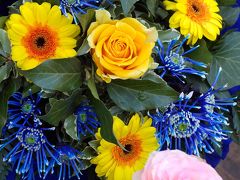 音楽とクリムト＆百水とホイリゲの旅  (2)