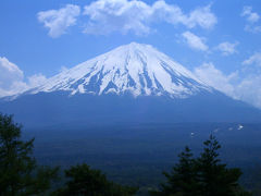 冨士山を仰ぎながら足和田山、本社ヶ丸を歩く。その２