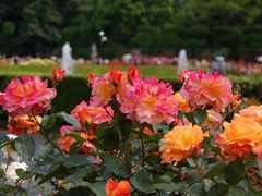 調布市　神代植物公園