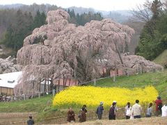 「福島さくら紀行」