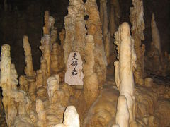 新春の沖縄旅行記(2)玉泉洞編