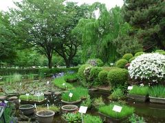 都立薬用植物園（故郷探訪-1）