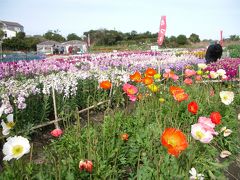 春気分にひたりに房総半島へ