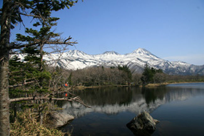 日本にも世界遺産が13ある<br />文化遺産が10ヵ所、<br />自然遺産が3ヵ所！<br /><br />北海道にはただ一つ<br />３番目の自然遺産「知床」である<br /><br />2005年7月に世界遺産に登録<br />知床半島は北海道の東北端に位置し<br />長さ約70Km、幅は基部で約25Km<br />細長い半島である！<br />20Km先には北方領土の国後島！ <br /><br />「知床」は多種多様な自然環境！<br />海抜0mの見事な海蝕崖や<br />標高1600mの山岳地帯まで<br />草原、渓流、森林、湿原、湖沼など！<br />多様性に富んだ美しい自然の景観！<br /><br />森と湖に囲まれた知床五湖の！<br />遊歩道からの知床連山の眺めは<br />これぞ絶景！！<br /><br />新しい発見！大きな感動！<br />今回も素晴らしい旅だった！！<br /><br /><br /><br />詳細は<br />http://yoshiokan.5.pro.tok2.com/<br />旅いつまでも・・★画像旅行記を<br />ご覧ください。<br /><br />