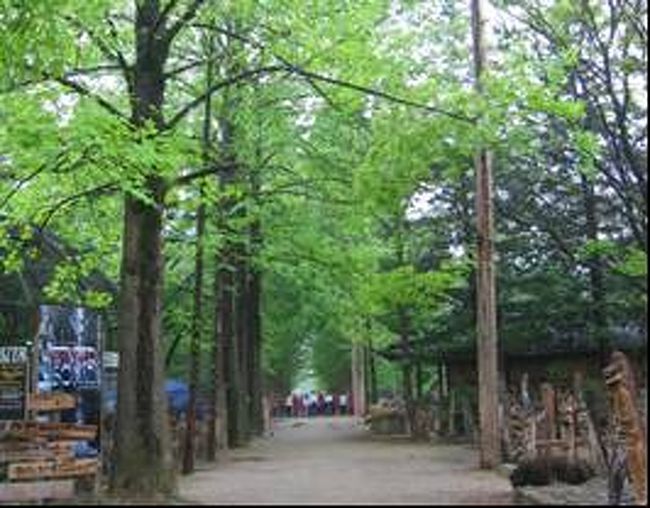 <今回の旅のテーマ> 恒例のゴールデンウィークの韓国旅行は5月1日から5日までの5日間と決まりました。参加者はMuさん、Ktさんと私の3名です。昨年の同時期、サーズ問題が発生し、計画を断念しましたので、2年越しでの実現となります。ゴールデンウィークの中でも、最も混み合う期間なので、2月頃に日時だけ決定し、それぞれが航空チケットを手配しておきました。 数日先行して出発したMuさんが、5月1日に仁川国際空港で、二人を出迎えてくれると言う計画でした。出発当日の朝に遅刻しないよう、遅い出発時間のアシアナ航空を使用することも同時に決定しておきました。1日1便なので、出発日さえ間違わなければ、仁川国際空港での待ち合わせでのトラブルが防げることもありました。 主な行き先を含めて、Muさんにプランニングをお願いし、数案がEメールで送られてきました。その素案を基に打合せを行うことにしました。打合せを名目にした飲み会といった性格も強かったですが、場所は金山、4月の20日火曜日と決まりました。出発まで10日ほど残した、絶好の日取りでした。 今回の旅行テーマはいくつかあり、その優先順位を決める打合せでした。DMZと略称される北部の非武装地帯見学、これはKtさんの一押しプランです。アジア全域で爆発的な人気ドラマとなっている「冬のソナタ」のロケ地巡り、これは私の最優先プランです。それにMuさんお勧めの雪嶽山登山と大浦洞刺身のグルメプラン、これは私も異論のない、省けないコースでした。 それと併せて新しく出来た新幹線試乗ツアーも候補に上がりました。問題は限られた日程との兼ね合いです。Ktさんは平成10年の釜山、巨済島(コチェド)、外島(ウェド)を巡った、岡崎のハングル語講座の李先生達との旅行の経験があります。少々の強行軍やハプニングをものともしないメンバーですから、目一杯のスケジュール編成が可能です。 後で知ったことですが、このとき訪問した外島(ウェド)が「冬のソナタ」のラストシーンで重要な場所に設定されていました。この紀行を書いている時は、毎週土曜日、夜11時過ぎからNHKで放映の20回連続ドラマが、丁度半ばに達した頃でした。ドラマの結末は知る由もありませんでした。 そのラストシーンは未だ見ていないですが、Muさんが韓国で入手した「冬のソナタツアー」のパンフレットから一部引用させて頂きます。 そのウェドは、「チュンサン(ペ・ヨジュン)とユジン(チェ・ジウ)が切ない別離をした後、3年後に視力を失ったチュンサンが、ユジンの設計図を元に建築した建物がある場所」と紹介されていました。 ドラマの結末を先に紹介したようで恐縮ですが、ウェドは雪が積もったナミドと対比して、全く正反対と言ったイメージがあります。平成10年(1998年)の11月下旬の頃でしたが、その時の紀行文を紐解きますと「何となくヨーロッパを思わせるスペインか、エーゲ海と言った雰囲気」と記していました。 今からラストシーンでのウェドの風景が楽しみです。以下にMuさんが作ってくれた旅行基本プランの一部を示しておきます。 まず、4月14日付けで作っていただいた3案です。◎旅行案についての説明 今回の旅行は、中部戦線の?「非武装地帯」観光をメインに、?東海岸(雪嶽山等)、?新幹線体験、?冬のソナタの舞台、の順に重要度を順列し、計画している。固定されるのは、?の中部戦線「非武装地帯」見学ツアーが火曜日休みであるため、旅程の都合上日曜日にせざるを得ない事である。他は自由に組み替え可能である。個々の案についての説明を以下に記す。○1案:東部戦線の高城統一展望台に行くことができない。また、帰国前日に飛行機を使うため、飛ばない場合の対策が手薄。(陽陽空港は、束草空港のようにはならないと思う)○2案:1案の心配に配慮して、行きを飛行機とした。束草での時間は増える代わりに、新幹線体験が難しい。(少しは可能と思う)○3案:東海岸への往復を航空機とすると、春川への寄り道ができない。時間が出来た分、新幹線の体験が可能。 以上ですが、いつもの通り、予定は未定です。現地変更は覚悟で参加してください。また。ご意見があれば修正いたしますので申し出てください。 ソウル宿泊ホテルは決めていませんので、入国カードには、国際ホテルかニューソウルホテルにしておいて下さい。 3案作ってもらった旅行計画の詳細については、「案1」だけを示しておきます。私なりに事前に検討した結果、金山での打合せの席で一押しにした案です。日程的に判断して、「新幹線乗車体験」は、またの機会がありますので優先順位を下げさせて頂きました。◎平成16年度連休旅行日程(案1) 北朝鮮による日本人拉致問題が取りざたされている中、朝鮮半島が分断され、現在の軍事境界線が定まった歴史を考え、中部戦線跡地を見学する。 民間人立ち入り禁止区域(DMZ)内の観光である。北側から掘削したトンネル内への見学も計画する。併せて、近年日本でも人気となった「冬のソナタ」の舞台でもある春川にも訪問し、4月に開通した韓国新幹線にも乗車しようと言う、欲張り企画を立てました。短い期間ではありますが、楽しい旅行にしたいと思います。◎詳細内容日程、主な移動、訪問地・観光、宿泊地の順です。○5/1(土)、OZ121・15:40仁川空港到着・16:00空港出発、ソウル市内観光、最近ソウル市内の環境を考え、市庁前を広場にしたり、清渓川を埋め立てて作った、清渓高架道路を撤去して元の清流に戻す工事をしているそうです。短い時間ですが、ツアーで行く観光スポットとは違ったソウルを発見する市内を散策しましょう、ソウル・新村周辺泊。○5/2(日)、議政府−新炭里・新炭里−議政府・地下鉄1号線終点議政府駅へ・議政府発10:20−新炭里着11:38、韓国戦争中部戦線跡地である江原道、鉄原地域の非武装地帯内の「鉄の三角展望台」・「月井里(ウォルジョンリ)駅」・「白馬高地」・「第2洞窟」・「労働党宿舎」など見学・所要時間は4時間程度・新炭里発16:00−議政府着17:13・議政府−城北(地下鉄1号線)30分・城北発18:26−春川着:19:57、ソウル又は春川泊。○5/3(月)、清涼里−春川・春川−束草(バス)・ソウル清涼里駅−春川駅・清涼里発8:30−春川着10:23(ムファンガ)・ソウル清涼里駅から、今話題の韓国ドラマ「冬のソナタ」の舞台春川へ・撮影現場の散策をして、バスで束草へ移動・春川市外バスターミナルから束草バスターミナルへ・春川発13:40−束草17:40(雪嶽山経由)・新緑の江原道をバスにゆられて、雪嶽山のふもと束草市へ到着後大浦洞へ・夕食は大浦の魚ですね。刺身にチゲに・・・束草に来たらここに来ない手はないですね・泊まりは大浦にするか、雪嶽にするか、温泉に行くか?、大浦洞または雪嶽泊。○5/4(火)、陽陽−金甫・KE1702・雪嶽山観光・春の雪嶽山・いつものケーブルカーで山頂へ。天気が良く、元気と時間があったら、トレッキングにチャレンジ・昼食は束草市内のスンドブチゲの店へ行きたいですね・その後市内バスで陽陽空港へ・陽陽空港発金甫空港・陽陽13:00−金甫13:55・ソウルから新幹線でいけるところまで行く・新幹線を体験してソウルへ戻る、ソウル泊。○5/5(水)、仁川11:00発・OZ122・帰国・名古屋空港12:40着、自宅<もう1つの私の旅テーマ> 「DMZ見学」「冬のソナタツアー」と「雪嶽山登山」と盛りだくさんのツアー計画でした。その中でも「冬のソナタツアー」がメインテーマでした。 ところで、私のもう1つのテーマを「韓国に花鳥風月を訪ねる」にしました。毎回のことですが、少しでも時間に余裕が出来ると、稚拙な俳句を手帳に記して置くようにしています。今回が12冊目の韓国旅行記となりますが、「紀行」の文字に拘(こだわ)っている所以(ゆえん)です。 蛇足ながら誤解のないように「花鳥風月」は花札賭博とは同義語ではないことを補足しておきます。真に韓国の季節を楽しむと言うことです。 このところ国内外で長く賭け事から遠ざかっています。しかし、たまにはブラックジャックや、ルーレットを楽しんでみたいと言う気持ちも少しだけあります。賭け事に熱くならなくなった自分に対する安心も感じる年代になりました。 冗談はさておいて、花鳥風月を詠んだ駄作を添えて今回の紀行の始まりとします。 旅立ちの日 花訪ね韓(から)の山野を巡る春 鶯や記憶の鳴音上書に*******************************************元資料の手作り旅行記『韓国紀行12』、副題『冬のソナタの故郷巡り』の目次です。<目 次><はじめに> (1)今回の旅のテーマ (1)もう昼の渡しの旅テーマ (6)<2004年5月1日(土)> (7)空いていたゴールデンウィークの名古屋空港 (7)仁川国際空港でMuさんが出迎え (8)今晩の宿は新村で (9)焼肉はいやだと言うKtさん (9)パジョンが食べたいと言うKtさん (10)翌日の作戦会議 (10)<2004年5月2日(日)> (12)ソウル市庁前広場 (12)手打ちのチャンポン麺 (12)河川復活工事見学 (13)DMZ見学へ (13)激戦の地 白馬高地見学 (14)2号トンネル見学 (15)DMZ見学を終えて (16)ナミ島近郊、加平へ (17)<2004年5月3日(月)> (19)ナミ島へ (19)自然の宝庫ナミ島 (20)春川ロケ地、中央市場 (21)次の目的地、束草へ (22)別の角度から見た雪嶽山 (23)早速の雪嶽山登山 (23)大浦洞の刺身 (24)<2004年5月4日(火)> (26)元祖、純豆腐(スンドウプ)の店で朝食 (26)束草散策、ケッペ乗船 (27)早くなった陸路での半島横断 (28)仁川到着、宿探し (29)月尾島のアクセス確認 (29)自由公園 (30)最後の晩酌は餃子の店で (31)<2004年5月5日(水)> (32)早朝の出発 (32) 厳しかった出国審査 (33)つい、買い込んだお土産 (34)名古屋到着 (34)<おわりに> (35)謝意 (35)補遺 (35)*元資料の写真資料の目次です。<写真目次>名古屋出発 (1)ソウル到着 (4)新村 (6)ソウル市庁へ (13)DMZ見学の地へ (23激戦の地、白馬高地 (27)月井里駅 (36)城北駅から加平へ (48)冬のソナタロケ地、ナミ島 (51)加平駅界隈 (78)加平から春川へ (79)春川から束草へ (91)雪嶽山 (93)大浦洞の魚 (107)大浦洞での刺身 (109)大浦洞の早朝 (114)元祖、純豆腐料理の店で (118)束草から仁川へ (132)仁川到着 (134)月尾島 (136)帰国 (145)名古屋到着 (148)付録 (149)