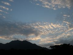 緑溢れる屋久島1