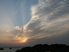 緑溢れる屋久島２