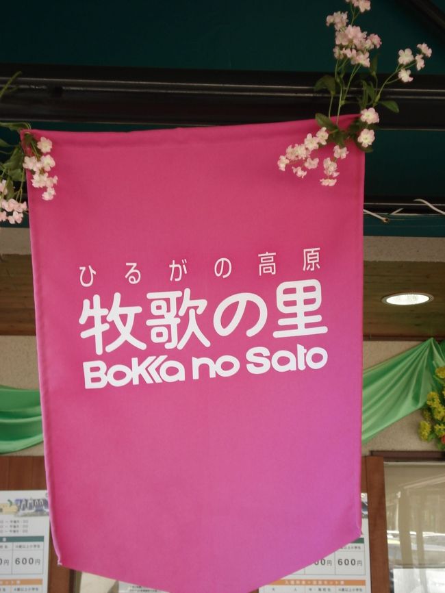 ドライブがてら<br />牧歌の里に行ってきました。<br />http://www.bokka.co.jp/<br /><br />馬・牛・羊・ウサギとの<br />動物体験ふれあいコーナーがあり、<br />子供連れなら、充分楽しめます。<br /><br />花ですが、<br />すずらんは見頃でした。<br />白い鈴みたいで、甘い香りに包まれてます。<br /><br />芝桜は、一・二週間訪れるのが<br />遅れたって感じ、<br />ロビーでやってたフォトコンテストの写真を見ると、<br />私の写真の緑の部分はすべて花で、<br />「ピンクの絨毯」って感じでした。<br />この目で見たかった(´･ω･`)ｶﾞｯｶﾘ･･･<br /><br />チューリップもあったけど、これも遅かった。。。<br /><br />