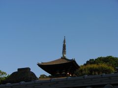 現代に生きる　奈良　當麻寺　練供養会式