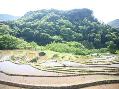 南伊豆から西伊豆へ～日の出から夕日まで?～