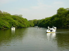 井の頭恩賜公園