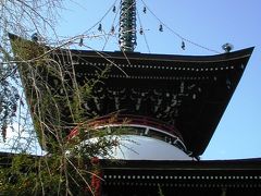 2004秋、吉野参詣(4)：桜本坊、喜蔵院、勝手神社、東南院