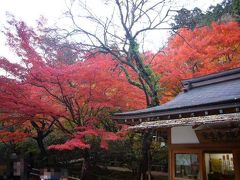 奈良＞岡山「バスツアーで行く！ 奈良・紅葉の旅　FINAL」