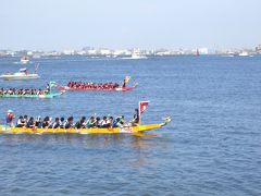 横浜開港祭　ドラゴンボートレース