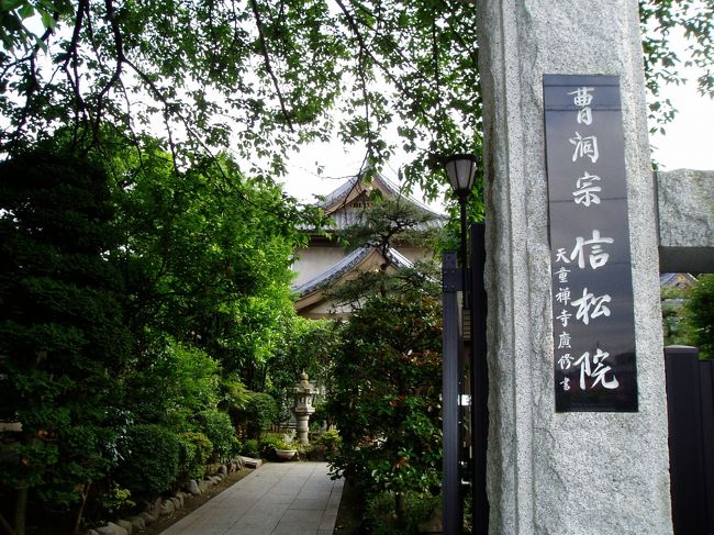 八王子での用件(仕事)を早々に済ませ、予てより訪れてみたかった信松院へ立ち寄りました。信松院は武田信玄公四女(又は六女)松姫が、武田家滅亡の際この地へ逃れ、その後出家し開基したそうです。松姫は七歳のときに織田信長公嫡男信忠公と婚約します。しかし次第に両家の対立が深まり婚約は破棄となってしまいます。その後、皮肉なことに信玄公亡き後武田家は信忠公を総大将とする織田家に滅ぼされ、更に武田家滅亡から二ヵ月後、本能寺の変により信忠公も亡くなってしまいます。若くして多くの苦労を重ねた松姫ですが残りの半生はこの地で静かに暮らしたそうです。