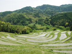 大山千枚田(2007.05)